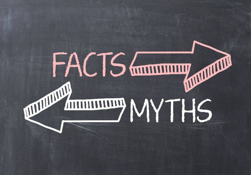 Myths about Japan Busted!